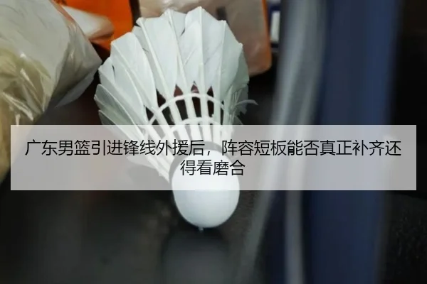 广东男篮引进锋线外援后，阵容短板能否真正补齐还得看磨合